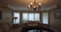 D Blinds