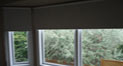 D Blinds