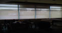 D Blinds